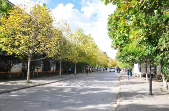 IP網絡廣播對講係統在獄中的應用功能說明